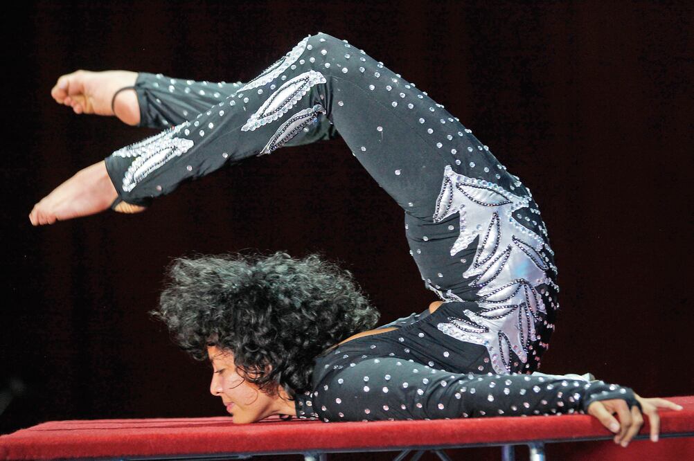 De cara a las nuevas disposiciones legales, los dueños de este espectáculo saben que deben adaptarse al cambio y por ello integran a su compañía talento mexicano y extranjero, como contorsionistas, trapecistas y payasos