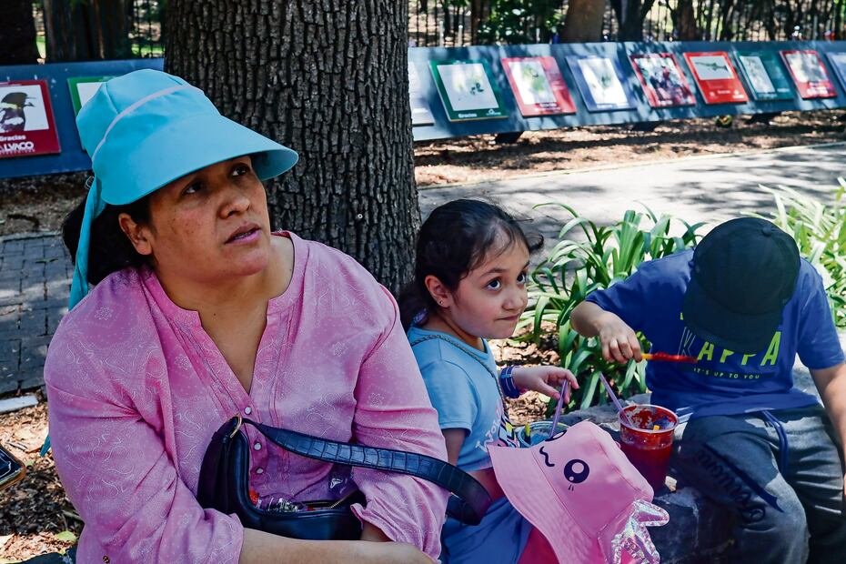 Opina que como padres no nos debemos dejar y tenemos que exigir una educación de calidad para nuestros hijos. Foto: Hugo Salvador