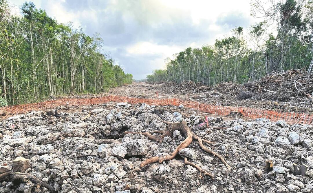 El Tramo 5 del Tren Maya tiene una ruta que se adentró hacia la selva, lo que causó la inconformidad de ambientalistas. Foto: Valente Rosas/EL UNIVERSAL