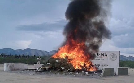 Incineran 2.5 toneladas de mariguana en Sonora