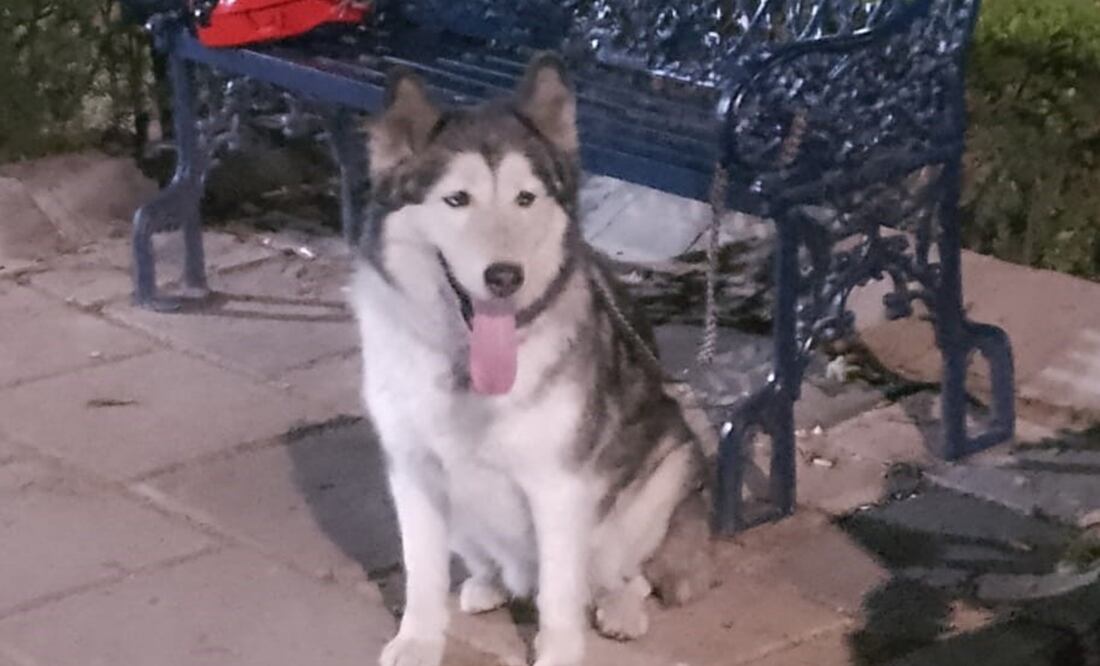 FOTO: Especial/ EL UNIVERSAL/