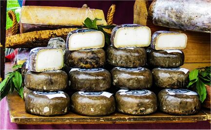 En 2021 ya no habrá quesos “tipo” manchego, gouda o parmesano
