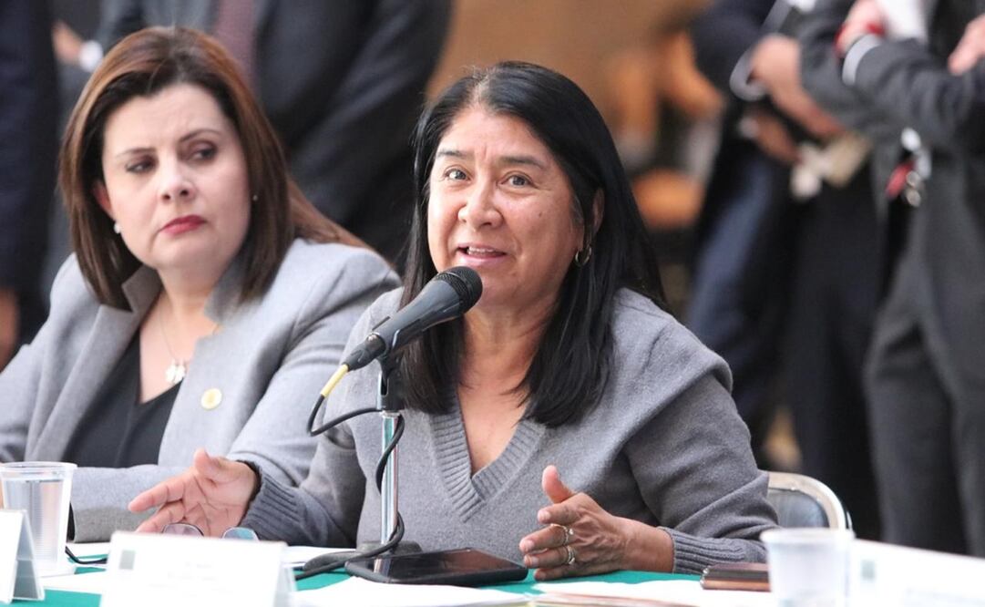 Miroslava Sánchez Galván, presidenta de la Comisión de Salud en la Cámara de Diputados. Foto: Twitter @Miroslava_SG