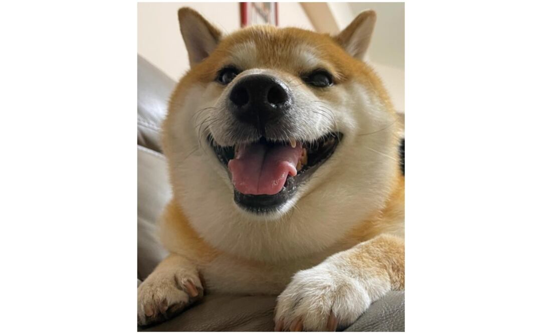 Foto: Inctagram @balltze