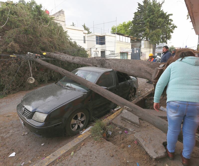 De acuerdo con vendedores, la competencia de los ambulantes es desleal, pues éstos no pagan salarios, impuestos ni licencia. Foto: JORGE ALVARADO. EL UNIVERSAL