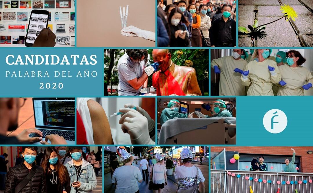 La Fundación del Español Urgente y la Real Academia Española harán la elección