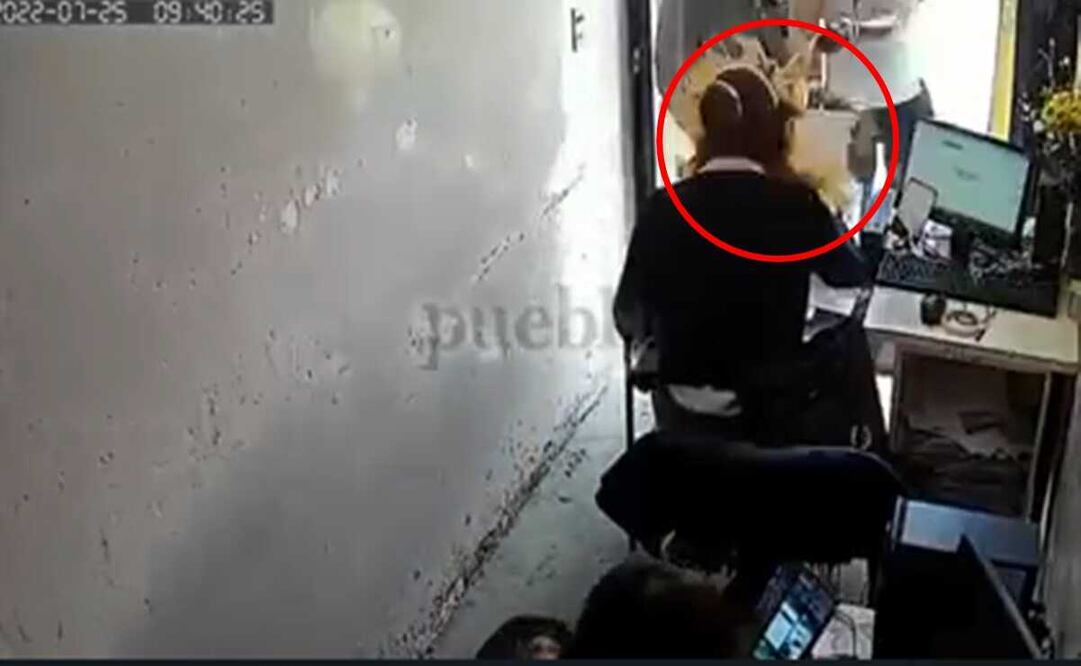 Foto: Captura de pantalla