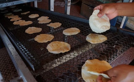 Sancionan a 43 tortillerías por subir precios en Jalisco