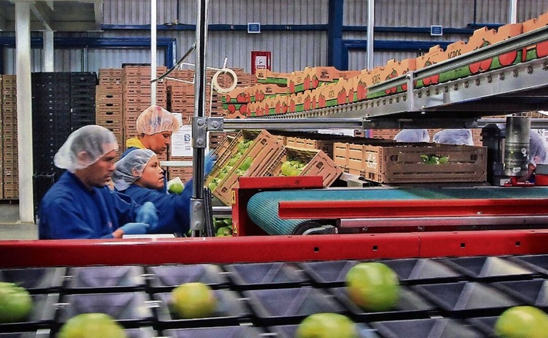 Foto: ARCHIVO EL UNIVERSAL