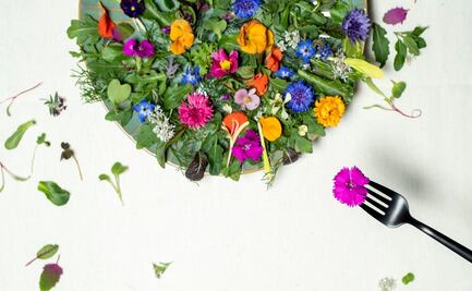 A esto saben las flores y los brotes cuando cocinas con ellos