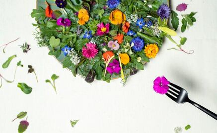 A esto saben las flores y los brotes cuando cocinas con ellos