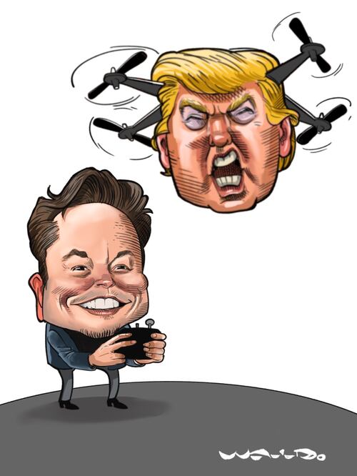 Cartón de WALDO