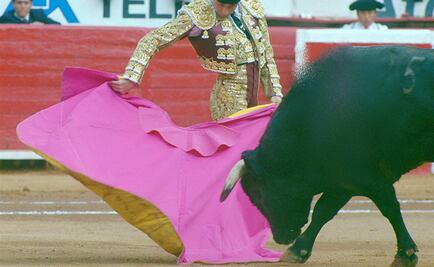 Para evitar que la tauromaquia desaparezca, Plaza México lanza campaña de firmas