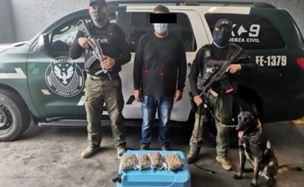 Agentes caninos logran asegurar droga en centrales de autobuses de Veracruz