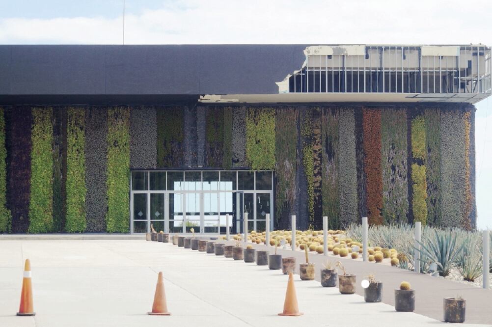 En el Centro Internacional de Convenciones de Los Cabos, lo que alguna vez fue un muro verde de 2 mil 38 metros cuadrados, ahora luce seco (GLADYS NAVARRO)