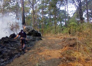 Levantan inventario de daños por incendios forestales en Michoacán