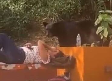 Video. Joven vivió momento de terror al ser sorprendida por oso; así reaccionó