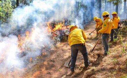 Provocar incendios forestales costará hasta 10 años de cárcel en Edomex; van 12 personas detenidas desde marzo del 2024