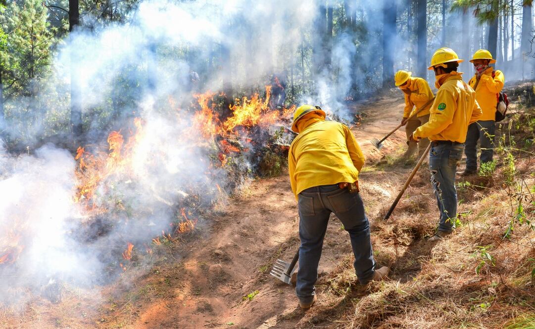 Autoridades del Edomex continúan sofocando incendios forestales. Foto: Especial