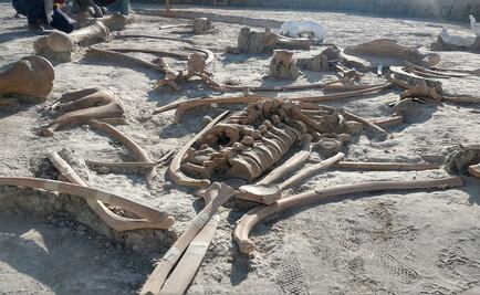 INAH estudiará yacimientos de mamuts en Santa Lucía y Tultepec II