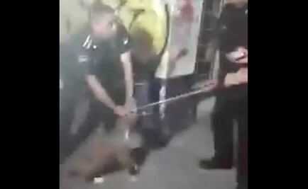Video. Policías someten a joven con todo y pitbull