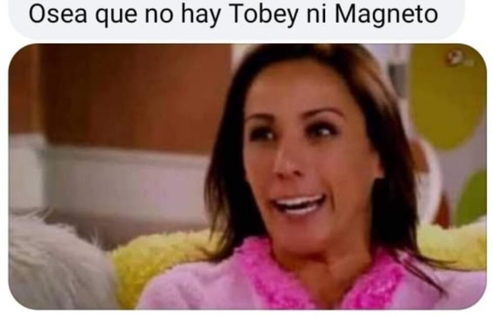 Ni Doctor Strange ni Magneto ni el Profesor Xavier en el final de "WandaVision"