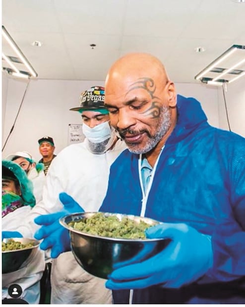 Justin Bieber y otros famosos en el negocio de la marihuana