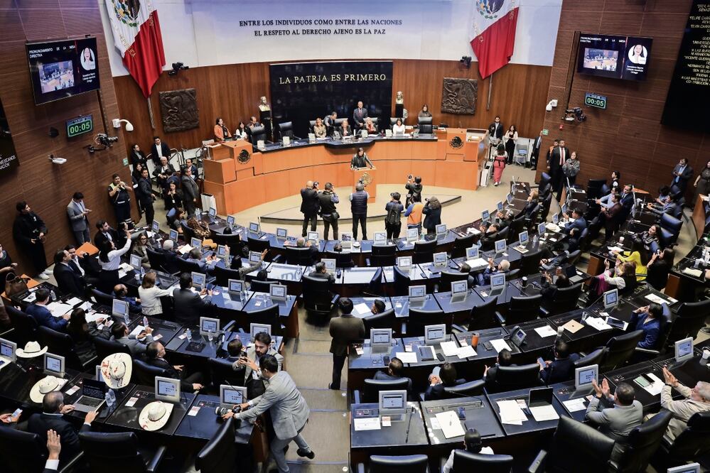 Reforma electoral arriesga la pluralidad y favorece a cúpulas: expertos. Foto: de Fernanda Rojas:FERNANDA ROJAS