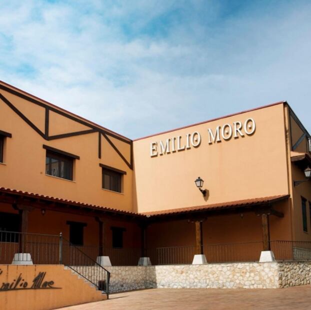 Descubre los mejores viñedos españoles en un tour virtual