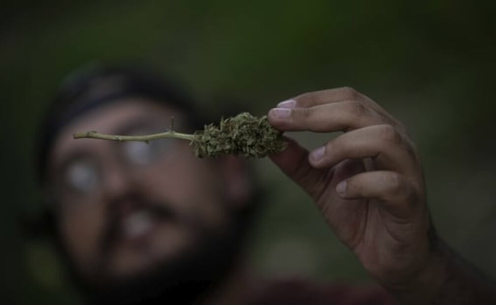 Los cannabinoides pueden tratar la enfermedad de Parkinson, según estudio