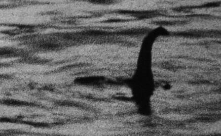 El "monstruo del Lago Ness" podría ser una anguila gigante