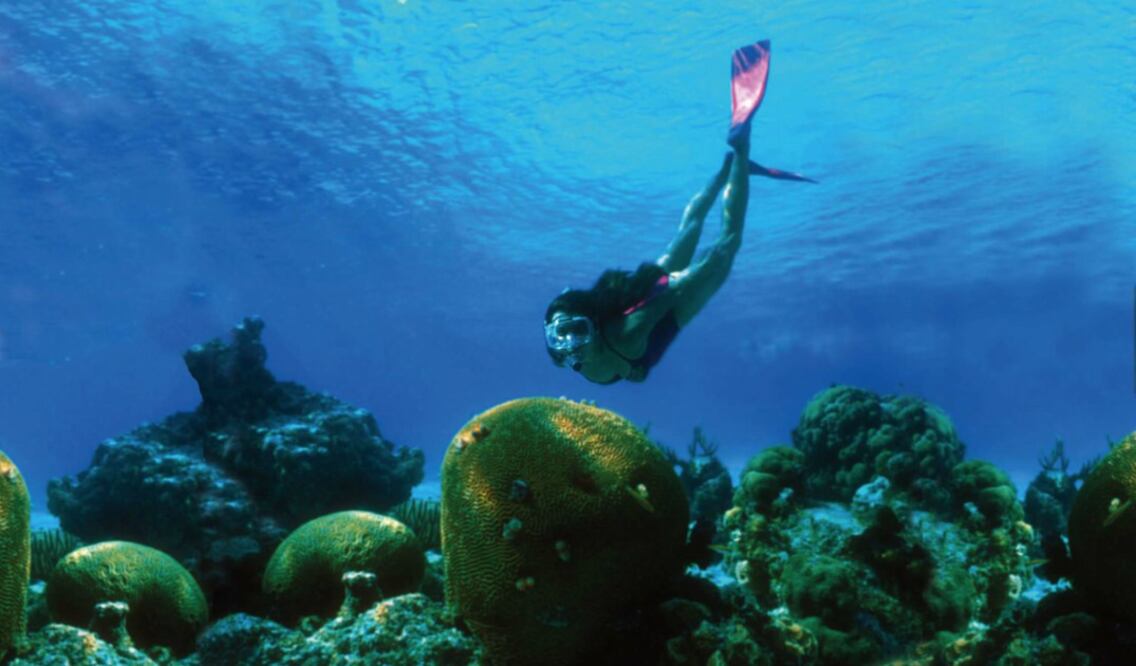 ¿Quieres hacer esnórquel en la Riviera Maya? Asesórate con los expertos en Whatsapp. (Foto: Cortesía Fideicomiso de Promoción Turística de la Riviera Maya)