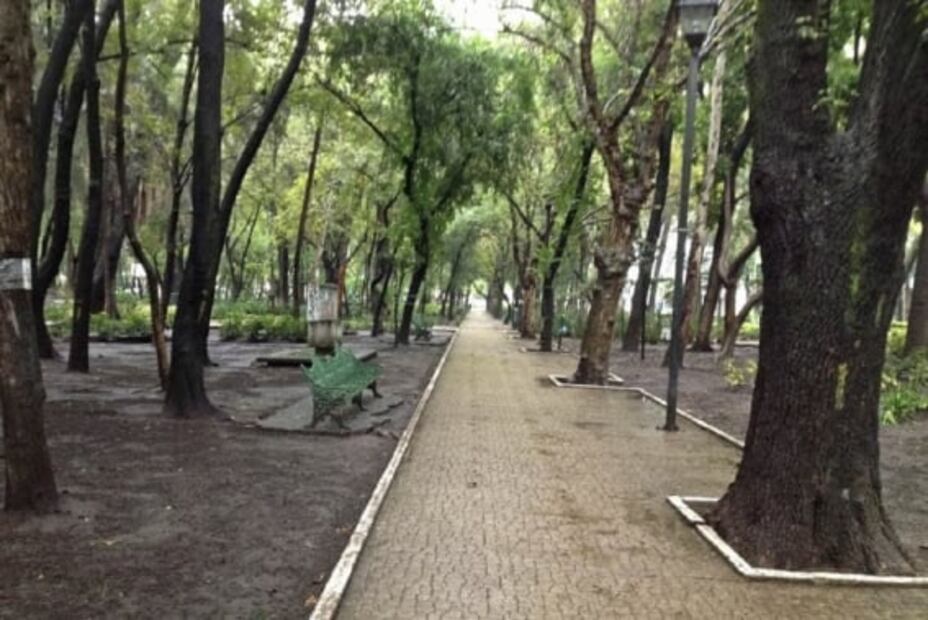 Parques y jardines que puedes visitar en la Roma-Condesa