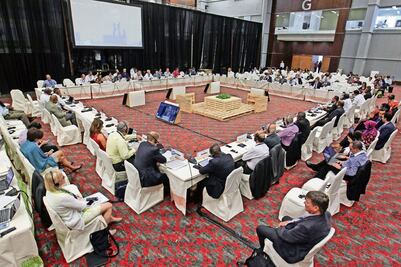 Impulsan estrategia para proteger la biodiversidad 