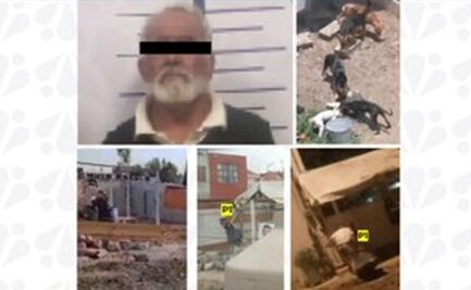 Caen dos sujetos por crueldad animal en Puebla; uno mató a dos perros y el otro agredió a un can a machetazos