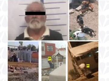 Caen dos sujetos por crueldad animal en Puebla; uno mató a dos perros y el otro agredió a un can a machetazos