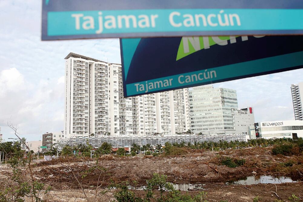 La senadora del PAN, Silvia Garza, solicita se actúe penalmente contra los destructores del área verde (ADRIÁN HERNÁNDEZ. EL UNIVERSAL)