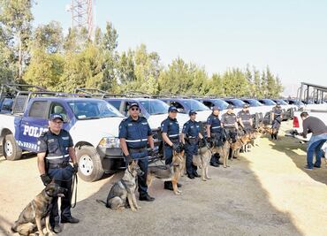 Resguardan entidad binomios caninos