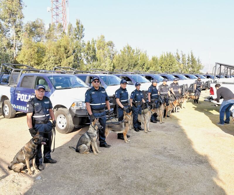 Los policías estatales recibieron capacitación, y los 10 perros fueron entrenados en Estados Unidos para detectar droga, dinero y armas. Foto/ESPECIAL