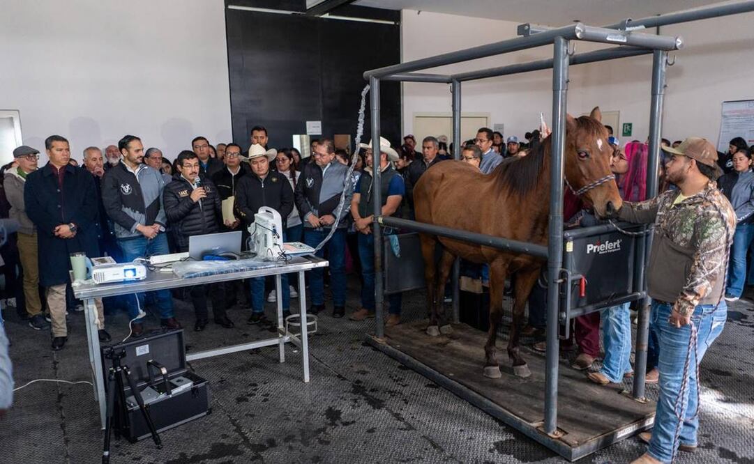 Hospital Veterinario de la Facultad de Medicina Veterinaria y Zootecnia de la UNiversidad Autónoma de Tamaulipas / Foto: Especial