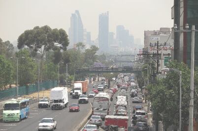 Marchas propician más contaminación