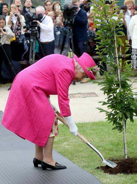 Reina Isabel II rechaza ayuda para plantar un árbol; “aún puedo”, dice