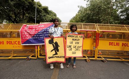 Mueren al menos 100 niños en la India por comer lichis