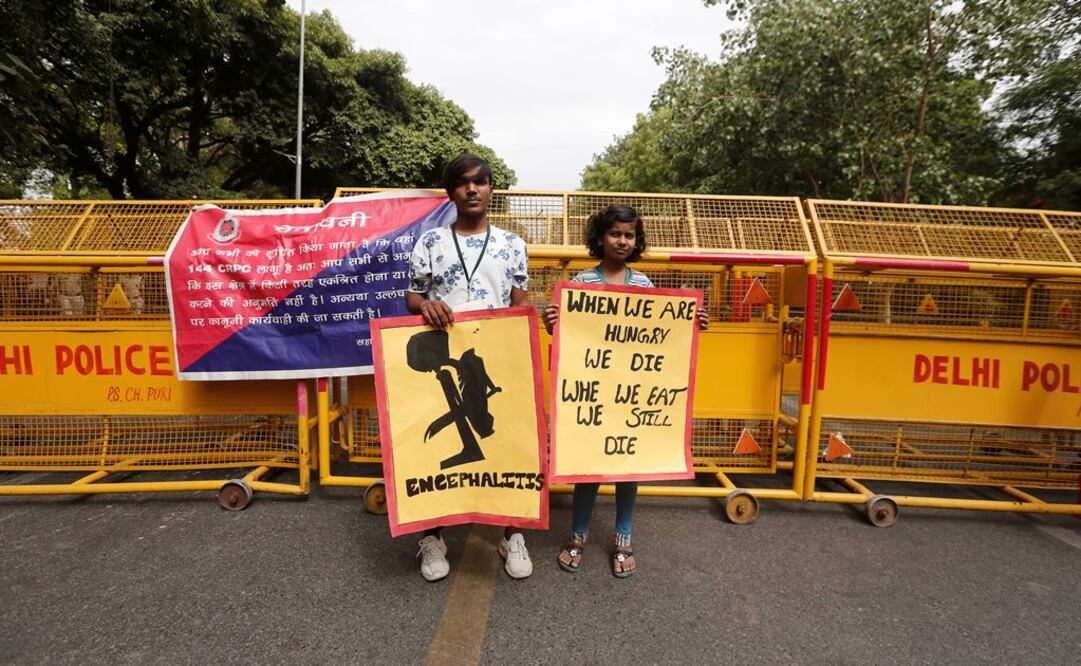 Científicos estadounidenses habían advertido que esta enfermedad cerebral podría estar vinculada a una sustancia tóxica presente en la fruta (Foto: Reuters)