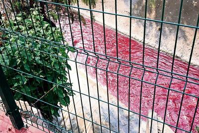 Se tiñe de rojo el río de Los Remedios
