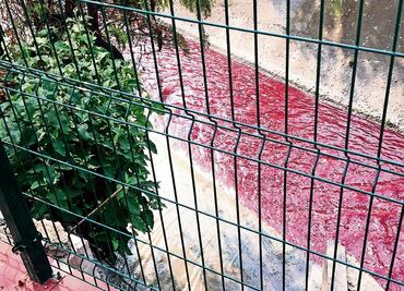 Se tiñe de rojo el río de Los Remedios
