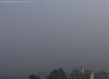 Banco de niebla afectó 91 vuelos en el AICM