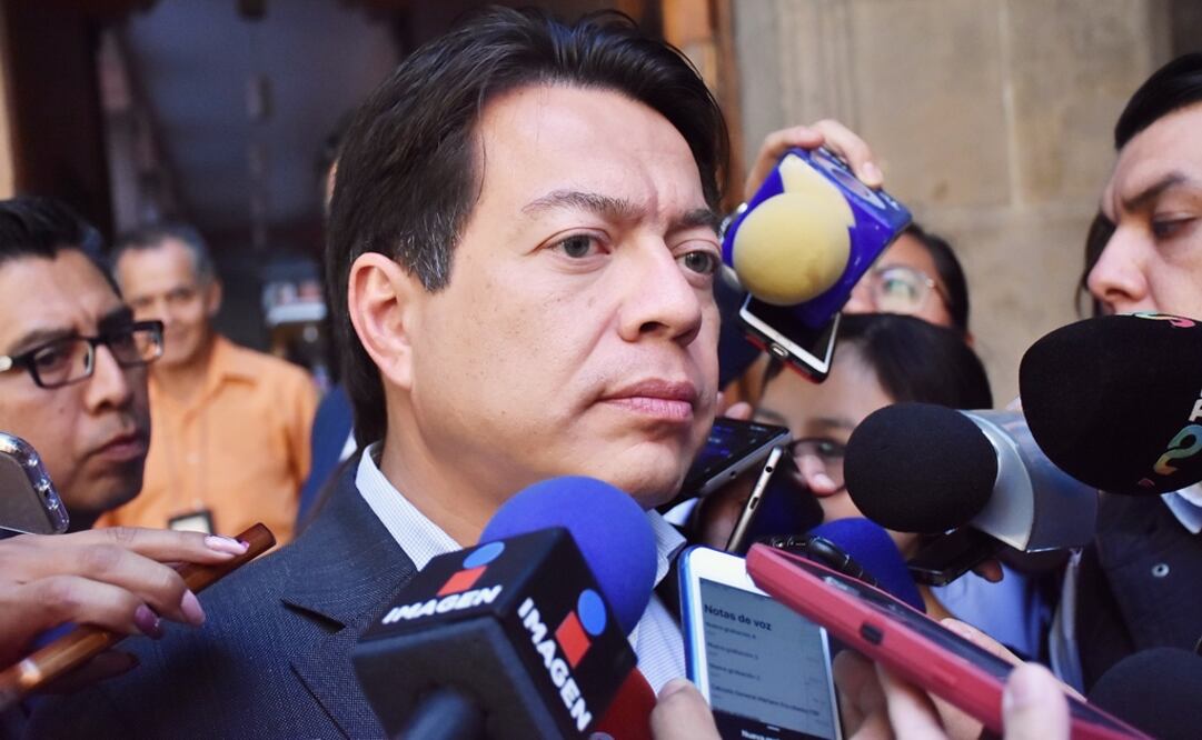 El coordinador de Morena, Mario Delgado. Foto: Especial