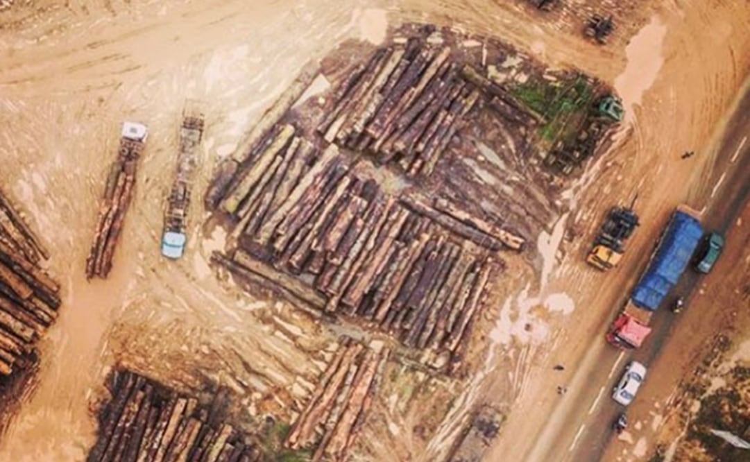 Nuestro país es el cuarto productor de madera en rollo. Foto: Instagram @itto_sfm