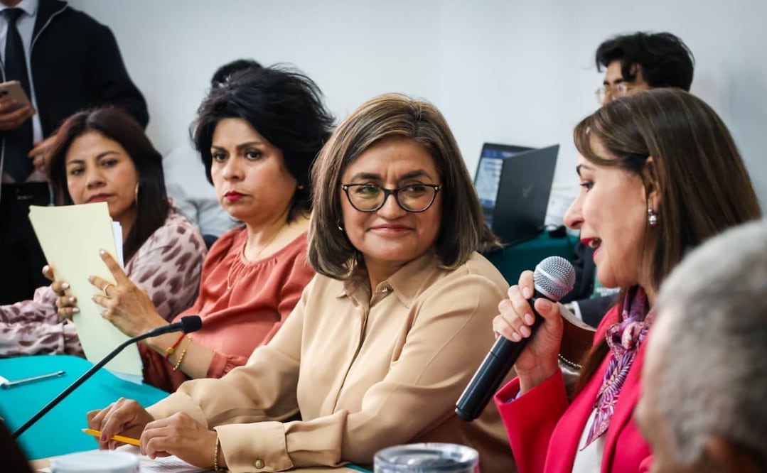 Aleida Alavez Ruiz compareció ante comisiones unidas del Congreso de la Ciudad de México. Foto: Especial